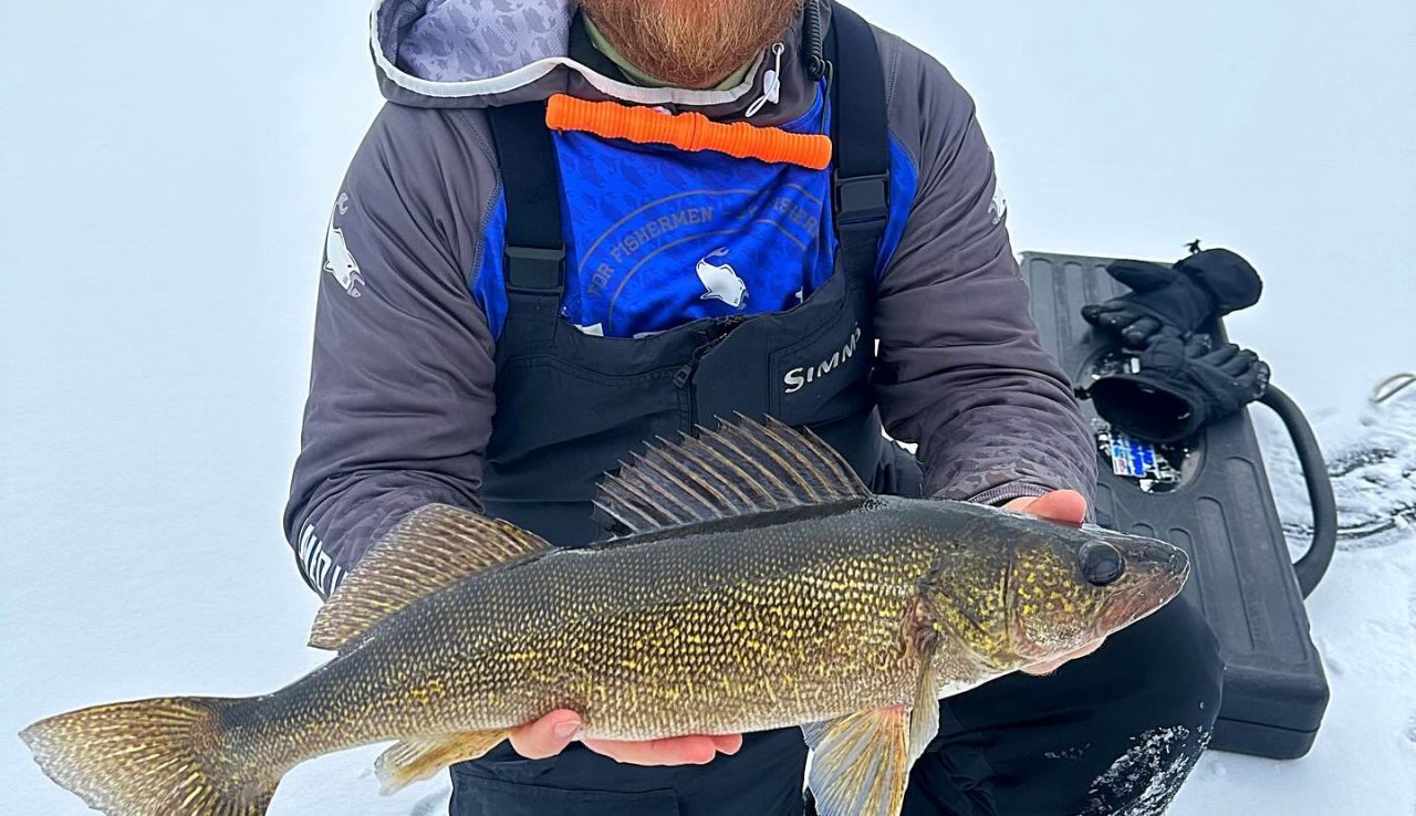 Walleye on Red Lake