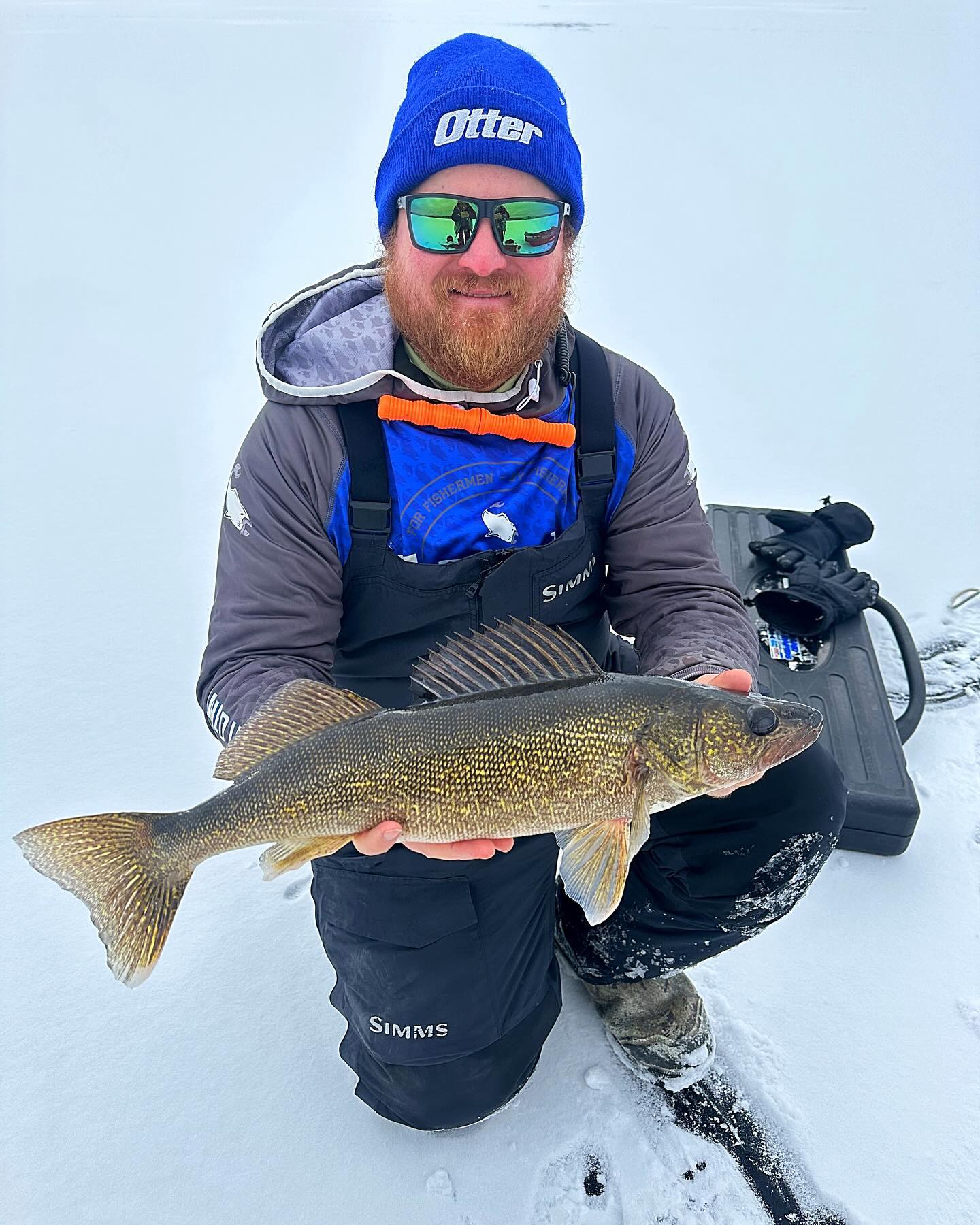 Walleye on Red Lake